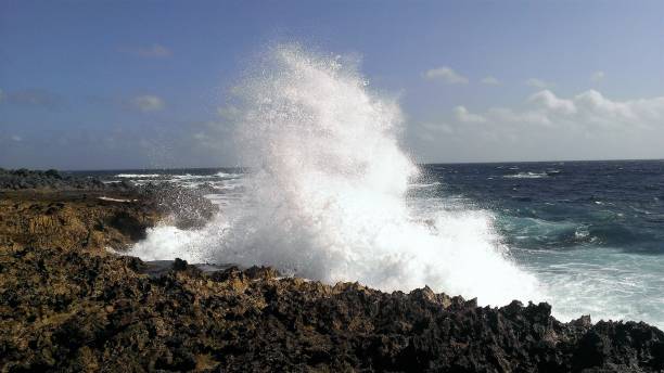 istock Aruba Rocky Coastline 1219096491