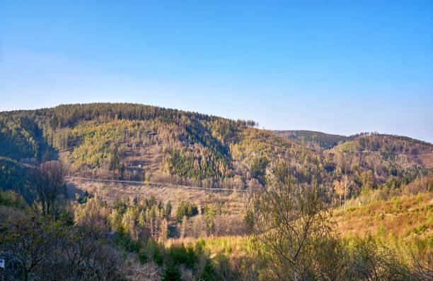 istock Forested mountains in the Harz Mountains under a blue sky. 1219104027