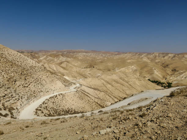 istock Wadi Qelt Desert Land 1219104328