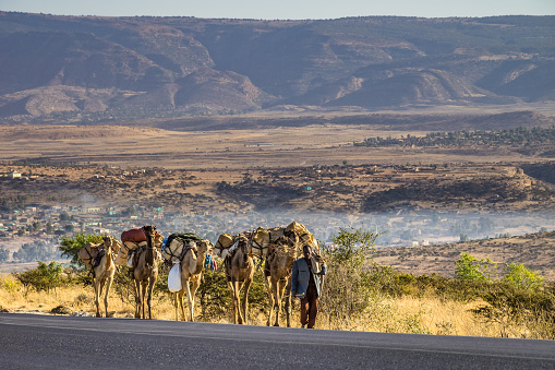 Lalibela, Ethiopia - Feb 12, 2020: Ethiopian people seen on the road from Lalibela to Gheralta, Tigray in Northern Ethiopia, Africa. Men with camels