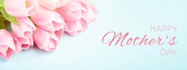 istock Pink tulips on blue background. 1219108927