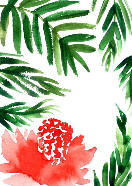 illustrazioni stock, clip art, cartoni animati e icone di tendenza di biglietto d'invito tropicale acquerello. sfondo di fiori di zenzero e foglie di palma della giungla. - ginger tropical flower flower plant