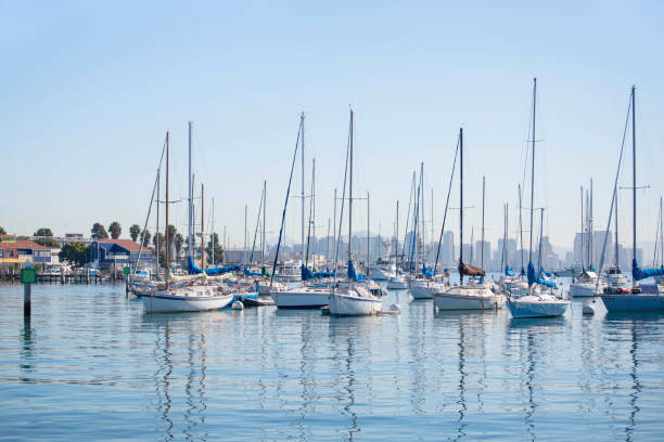 istock San Diego Waterfront with sailing Boats. 1219111692