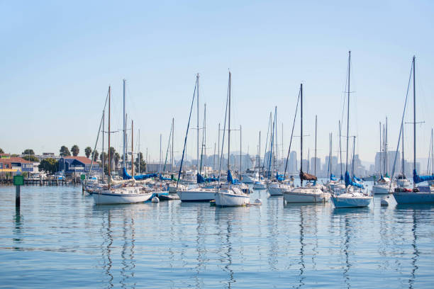 набережная сан-диего с парусными лодками. - san diego bay san diego california skyline waterfront стоковые фото и изображения