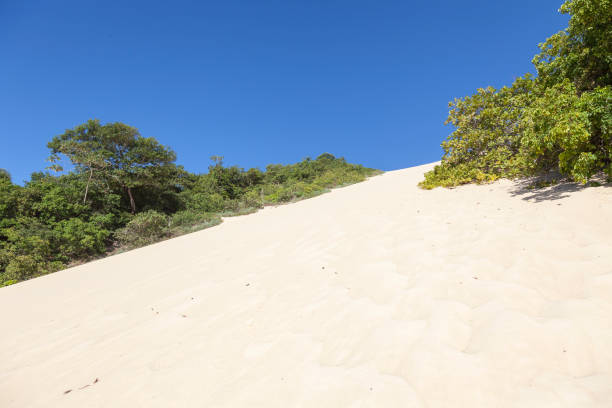 istock Morro do Careca dune in Natal Brazil 1219114128
