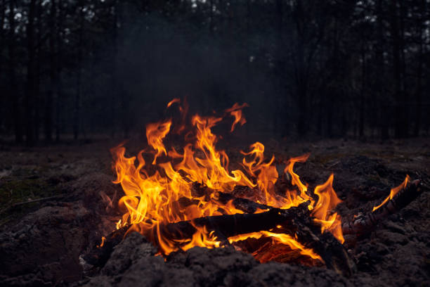 istock Bonfire in the forest at night 1219114213