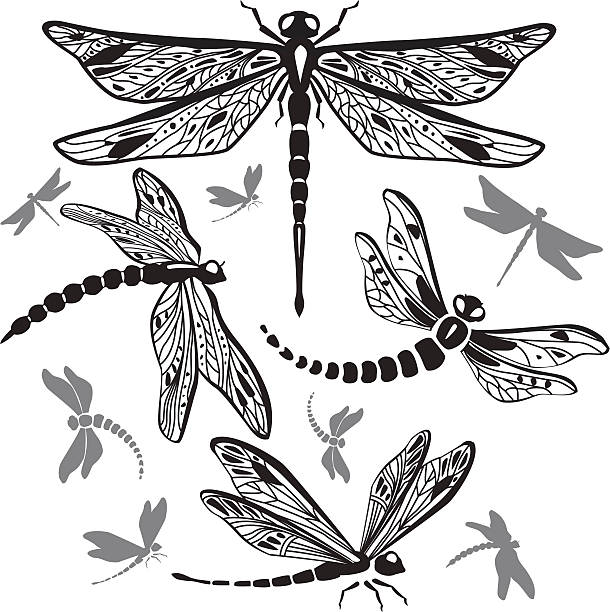 Set of decorative dragonflies  dragonfly tattoo stock illustrations