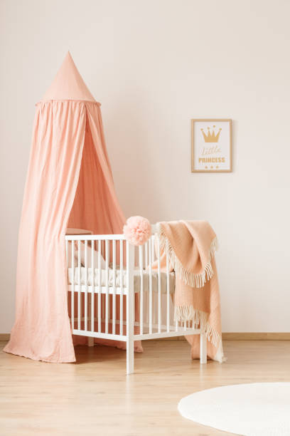 istock Girly infant room with crib 1219115440