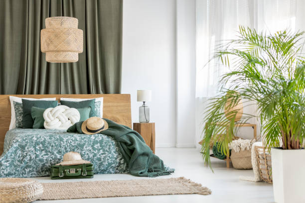 istock Plant in olive bedroom 1219115902