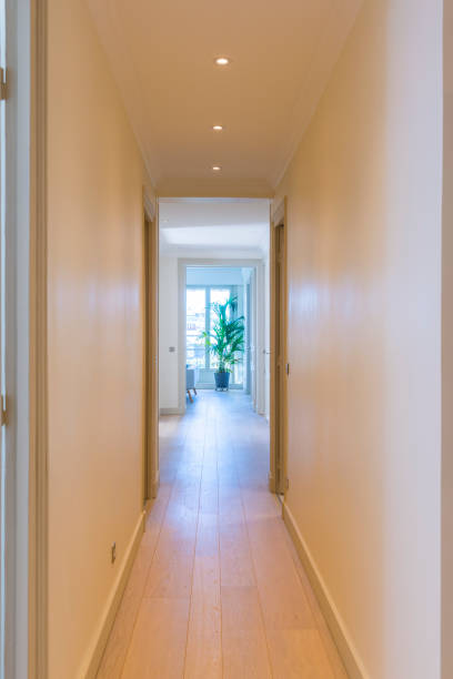 istock Corridor in a private luxury apartment. 1219117062