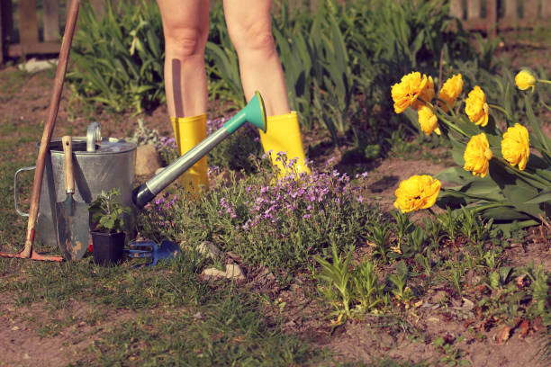 istock decorate your site for the summer 1219119007