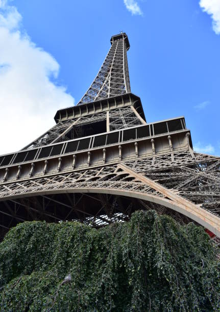 istock Tour Eiffel or Eiffel Tower, perspective from below from Champ-de-Mars. Paris, France. 1219120023