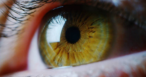 istock perfect green eye macro in a sterile environment and perfect vision. 1219121926