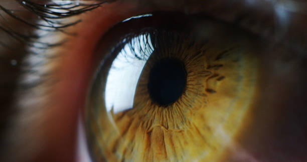 istock perfect green eye macro in a sterile environment and perfect vision. 1219121928