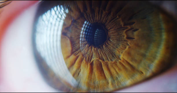 istock perfect green eye macro in a sterile environment and perfect vision. 1219122043