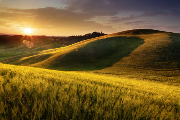 istock Sunset in Tuscany, Italy 1219122191
