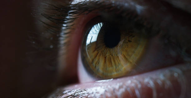 istock perfect green eye macro in a sterile environment and perfect vision. 1219122202