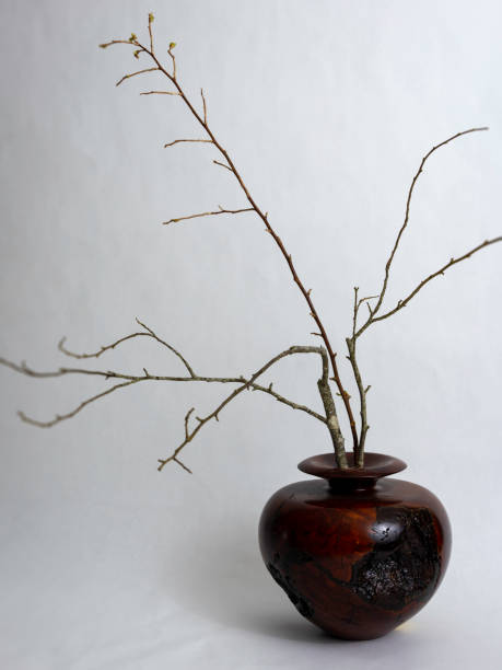 istock Bare branches in a traditional wooden vase 1219122677