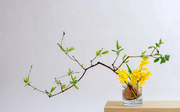 Ikebana Style Arrangement