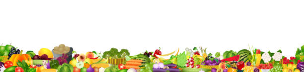 Fruits and vegetables border, vector isolated Wide vector collage of fresh fruits and vegetables for layout isolated on white background. Copy space fruit borders stock illustrations