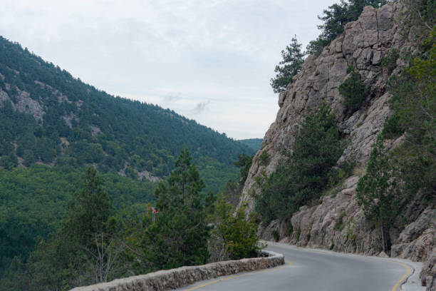 istock Mountain serpentine in the Crimea 1219126210