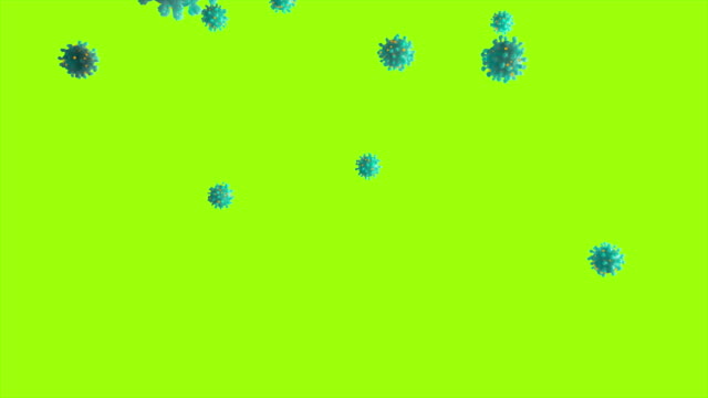 Realistic medical animation of several isolated Coronavirus cells falling down. Green screen