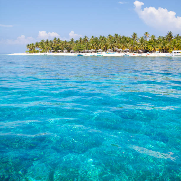 istock Turquoise lagoon and tropical island 1219130423