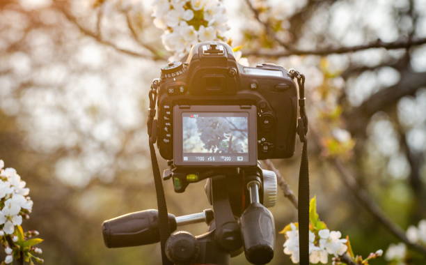 istock Shooting a video on a camera in a flowering garden 1219131463