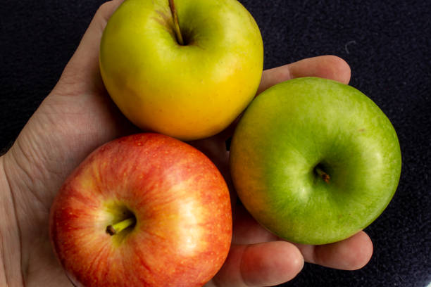 istock Three apples, one green and two red and yellow in the hand. 1219131466