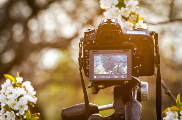 istock Shooting a video on a camera in a flowering garden 1219131485