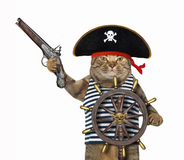 istock Cat pirate at helm of ship 2 1219131666