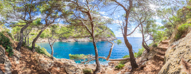Photograph taken from the hiking trail to Cala Murta in Majorca during the day in September 2016
