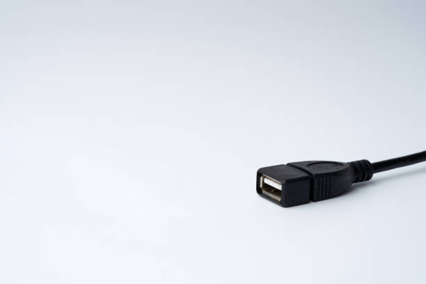 istock Close-up of black USB Type-A Female cable plug isolated on white background 1219135430