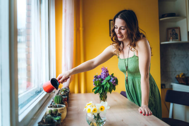 istock Woman watering plants 1219135524