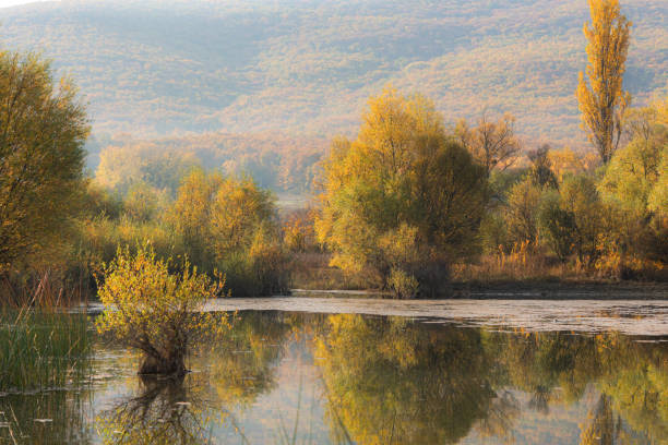 istock Autumn landscape with a lake 1219139362