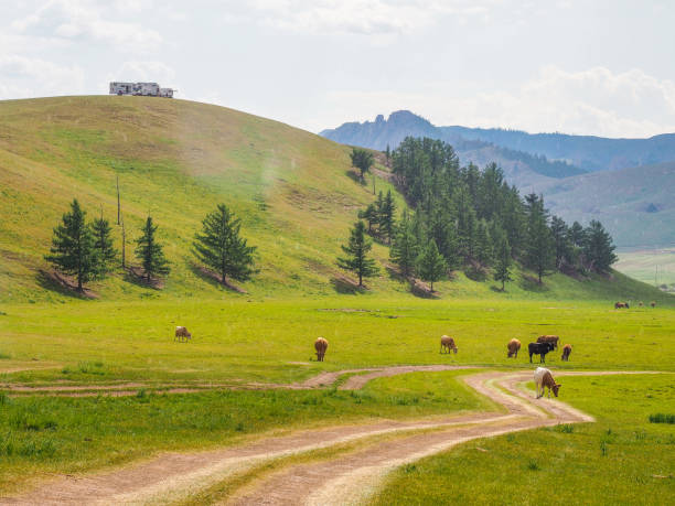 istock Gorkhi-Terelj National Park, Mongolia 1219140516