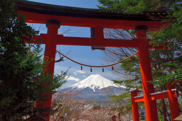 Mt Fuji and Torri Gate of Shinto Shrine During Cherry Blossom Season Fuji-Yoshida City, Yamanashi Prefecture, Japan-April 15, 2020:
Mt. Fuji as is observed through Torii Gate of Arakura Fuji Sengen Shrine during the cherry blossom season of April. 
This Shrine is famous for the view of Mt. Fuji and Five-storied Pagoda called Churei-to, located high up above 398 steps, during the cherry blossom season. However, due to the pandemic of CONVID-19, the steps going up to the Pagoda was closed to visitors and, therefore, I had to be content with photo-taking without the Pagoda.
Arakura Fuji Sengen Shrine was erected in 705, and is one of about 1,300 Sengen shrines which were erected in honor of the deity of Mt Fuji. This place is very popular among tourists from both Japan and overseas for its wonderful view, combining typical Japanese symbols of Mt Fuji, Pagoda and cherry blossom. torri gate stock pictures, royalty-free photos & images