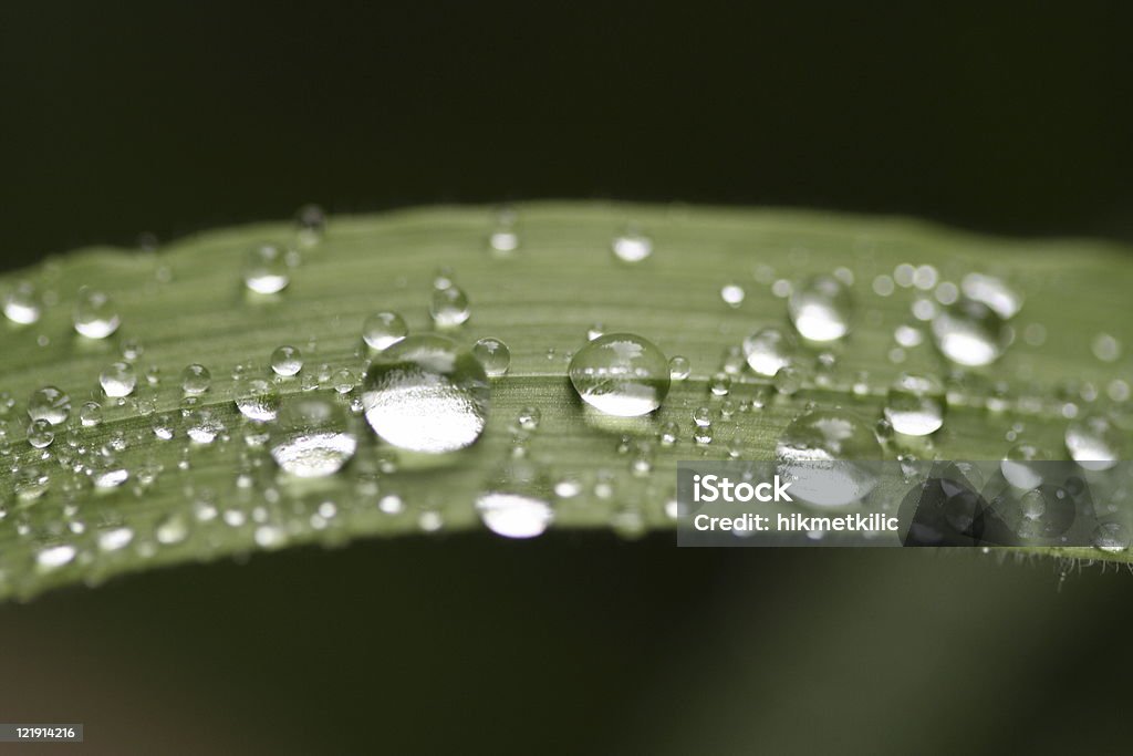 Quedas - Foto de stock de Chuva royalty-free