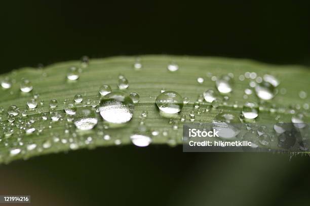 Foto de Quedas e mais fotos de stock de Chuva - Chuva, Cristal, Cristal de Gelo