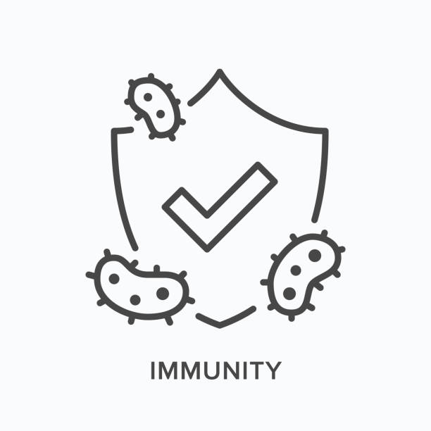 ilustraciones, imágenes clip art, dibujos animados e iconos de stock de icono de línea de escudo inmune. esquema vectorial ilustración de virus de defensa, germen, bacterias. pictorgam de protección contra microorganismos - sistema inmune humano