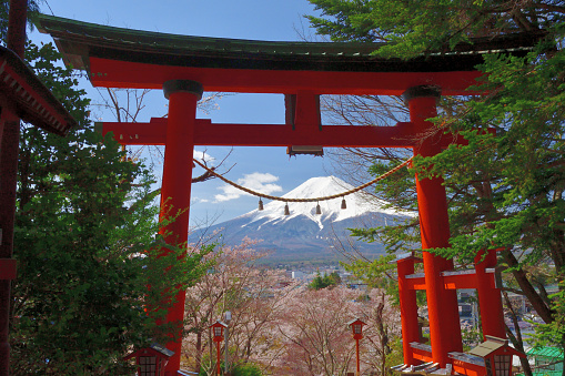 Fuji-Yoshida City, Yamanashi Prefecture, Japan-April 15, 2020:\nMt. Fuji as is observed through Torii Gate of Arakura Fuji Sengen Shrine during the cherry blossom season of April. \nThis Shrine is famous for the view of Mt. Fuji and Five-storied Pagoda called Churei-to, located high up above 398 steps, during the cherry blossom season. However, due to the pandemic of CONVID-19, the steps going up to the Pagoda was closed to visitors and, therefore, I had to be content with photo-taking without the Pagoda.\nArakura Fuji Sengen Shrine was erected in 705, and is one of about 1,300 Sengen shrines which were erected in honor of the deity of Mt Fuji. This place is very popular among tourists from both Japan and overseas for its wonderful view, combining typical Japanese symbols of Mt Fuji, Pagoda and cherry blossom.