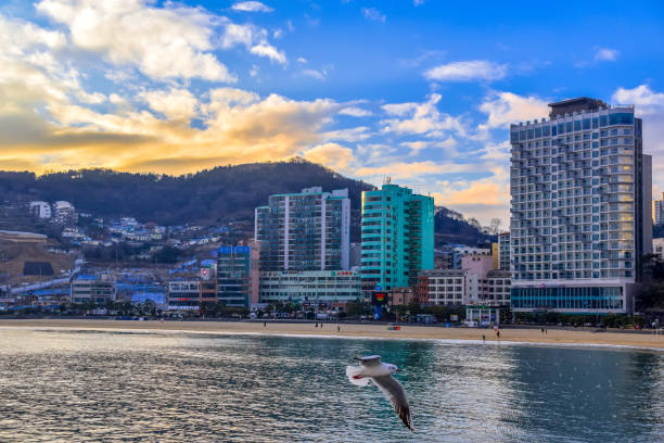 istock Busan Songdo Skywalk 1219142634