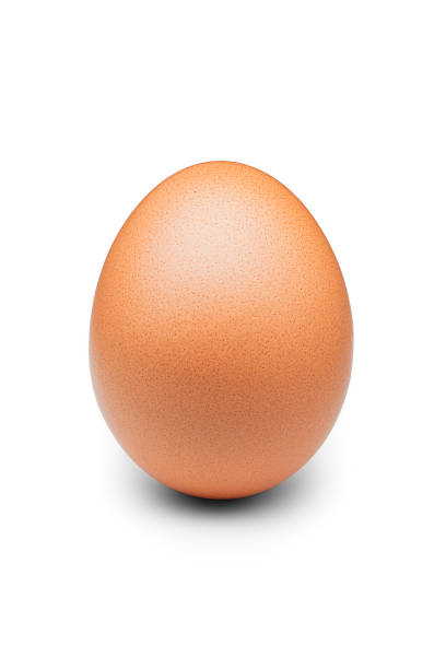 istock One chicken egg close-up isolated on a white background 1219149016