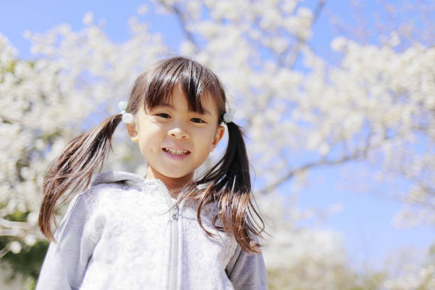 istock Japanese girl and cherry blossoms (5 years old) 1219149786