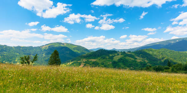 istock fields and meadows of rural landscape in summer 1219149966