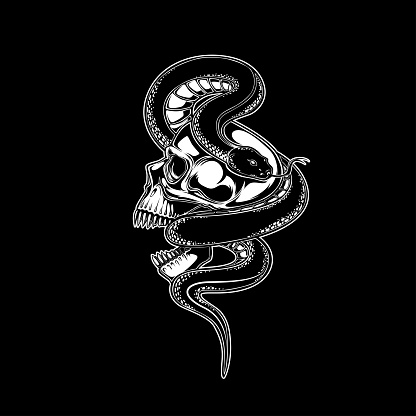 Skull And Snake Vector Illustration Tattoo Design Inking Black Work Hand  Draw For Tshirt Card Logo And Wallpaper Stock Illustration - Download Image  Now - iStock