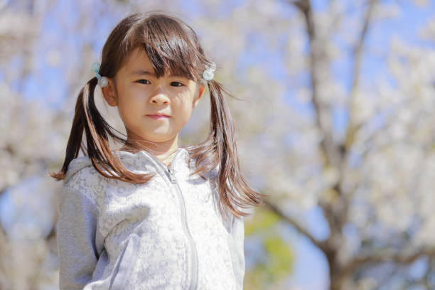istock Japanese girl and cherry blossoms (5 years old) 1219151324