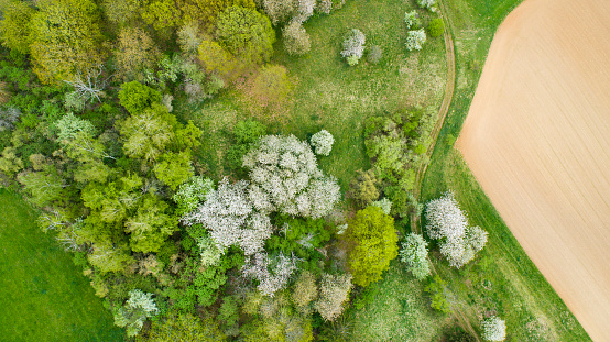 Agricultural area in spring - aerial view