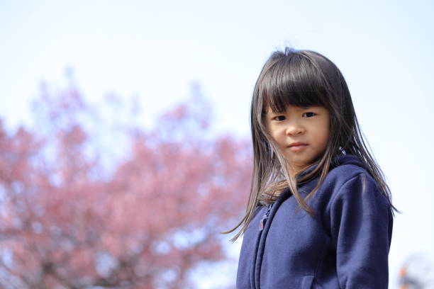 istock Japanese girl and cherry blossoms (5 years old) 1219151537