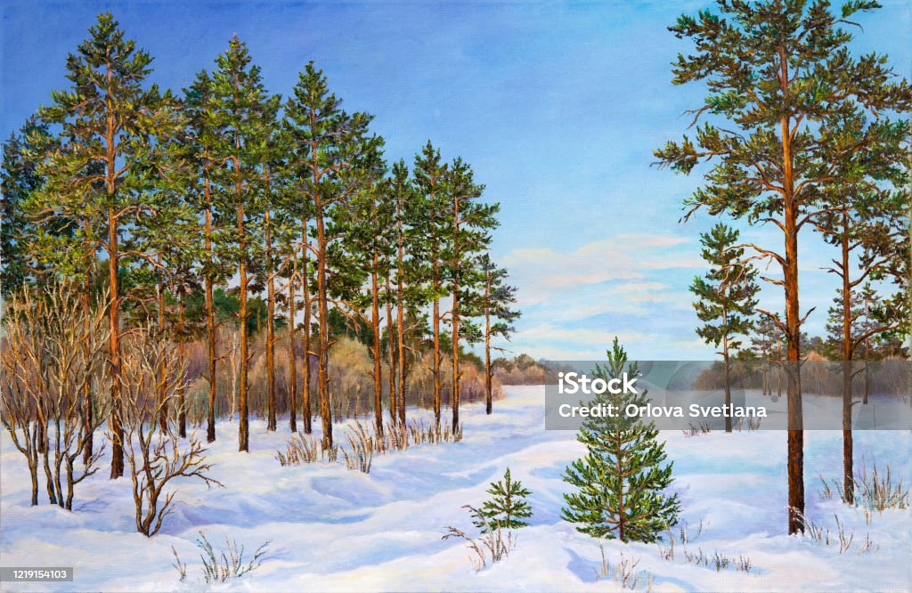 Phong Cảnh Mùa Đông Với Tuyết Trôi Dạt Và Cây Thông Trong Tuyết Trên Một  Tấm Vải Sơn Dầu Nguyên Bản Hình minh họa Sẵn có - Tải xuống Hình ảnh Ngay